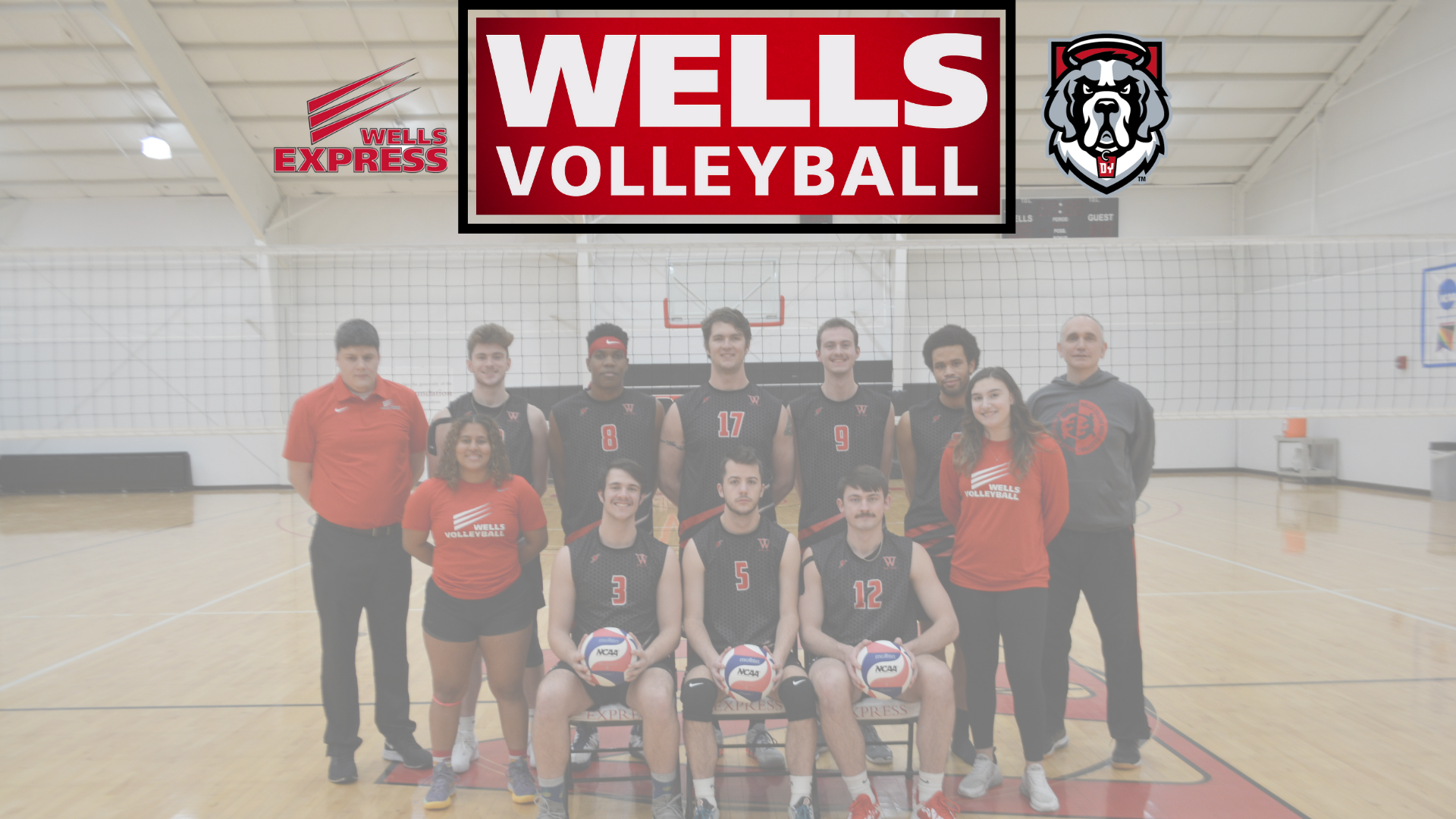 Men's Volleyball takes on D'Youville