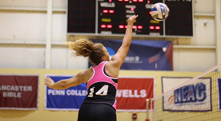 Women's Volleyball Nets Two Straight Set Victories