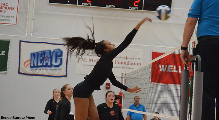 Women's Volleyball Falls In NEAC Semifinals
