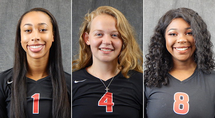 All-Conference Honors For Wells Women's Volleyball