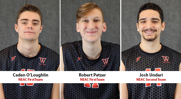 All-Conference Honors For Three Wells Men's Volleyball Players