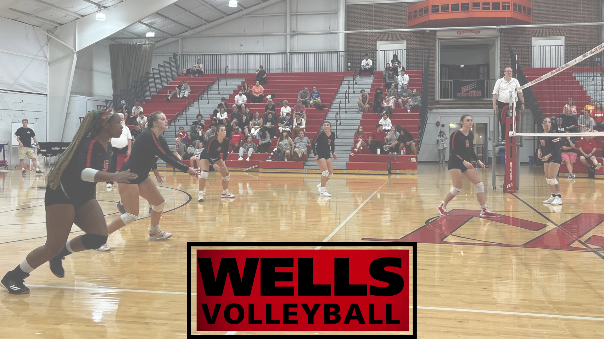Women's Volleyball Takes Down Giants At Home